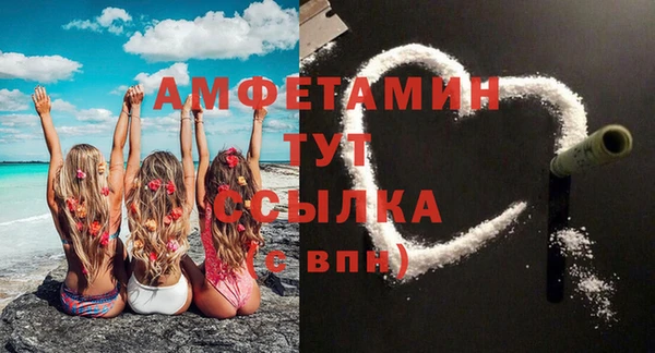 прущие грибы Аркадак
