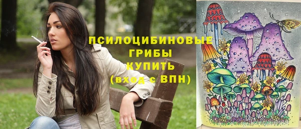 прущие грибы Аркадак