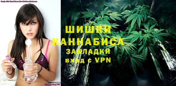 прущие грибы Аркадак