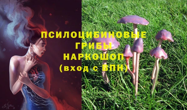 герыч Арсеньев