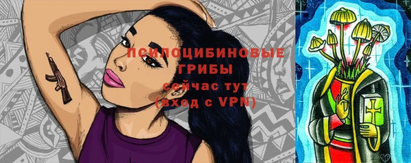 прущие грибы Аркадак