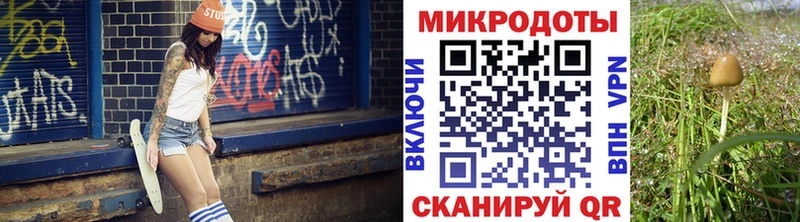 Галлюциногенные грибы Psilocybe  Зеленокумск 